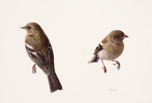 Deux études d