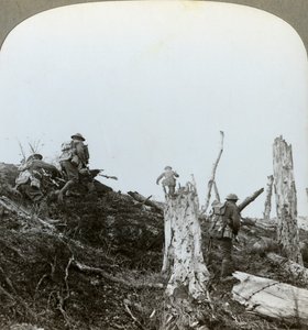 Assaut dans le bois de Trônes, Somme, France, Première Guerre mondiale, 1916 - Realistic Travels Publishers