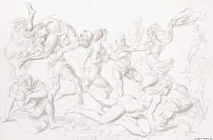 Acrobates