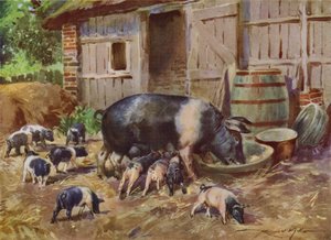 Illustration pour Ma Ferme - Reginald Mills