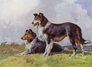 Illustration pour Ma Ferme - Reginald Mills