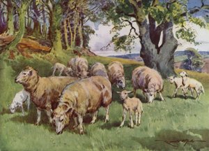 Illustration pour Ma Ferme - Reginald Mills
