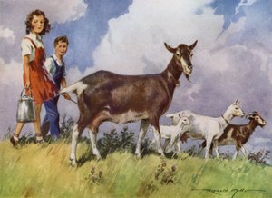 Illustration pour My Farm