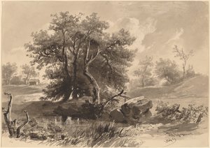 Les arbres, Bedford, New York - Regis Francois Gignoux