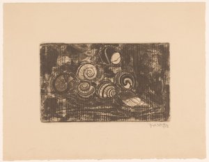 Sept coquillages - Reijer Stolk (signed by artist)