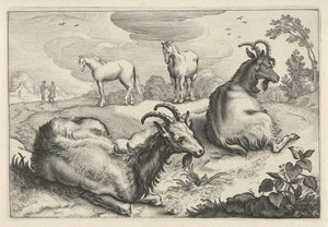 Paysage avec deux chèvres et deux chevaux (Diversa Animalia Quadrupedia)
