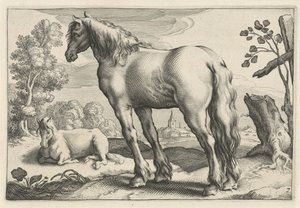 Paysage avec deux chevaux (Diversa Animalia Quadrupedia) - Reinier van Persijn