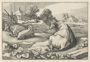 Prairie avec trois vaches couchées (série: Diversa Animalia Quadrupedia)