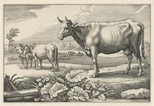 Prairie avec des vaches (Diversa Animalia Quadrupedia)