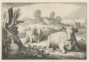 Prairie avec deux vaches couchées