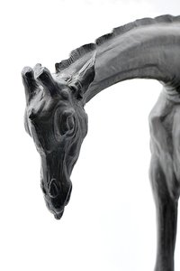 Grande girafe avec tête baissée, modelée 1909-10, coulée avant 1913