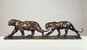Deux Jaguars
