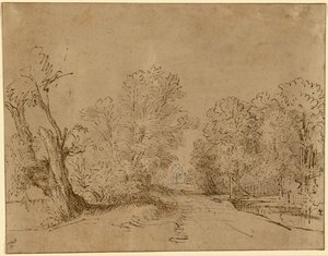 Une route boisée