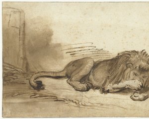 Lion couché avec sa patte avant sur son museau - Rembrandt van Rijn (school of)