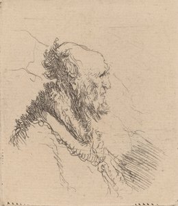 Vieil homme chauve avec une courte barbe de profil - Rembrandt van Rijn