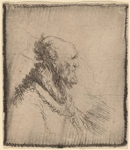 Vieil homme chauve avec une courte barbe de profil - Rembrandt van Rijn