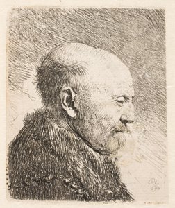 Homme chauve de profil (le père de Rembrandt?) - Rembrandt van Rijn