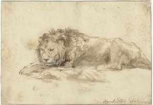 Lion couché - Rembrandt van Rijn