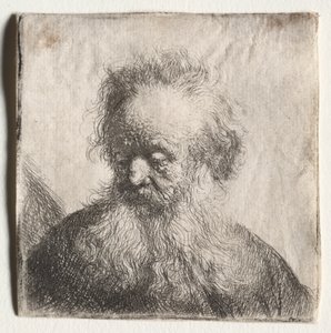 Vieil homme à la barbe flottante : Buste - Rembrandt van Rijn