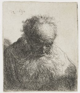 Vieil homme à la barbe flottante, épaule gauche non ombrée - Rembrandt van Rijn