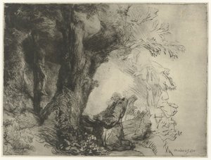 Saint François sous un arbre, priant - Rembrandt van Rijn