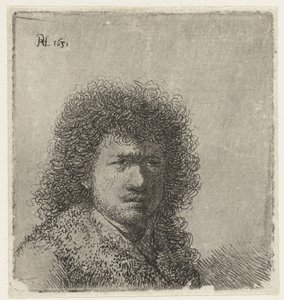 Autoportrait avec cheveux touffus : buste