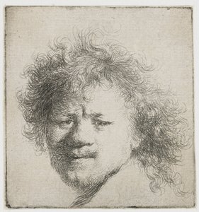 Autoportrait avec cheveux longs et touffus : tête seulement - Rembrandt van Rijn