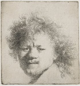 Autoportrait avec cheveux longs et touffus : tête seulement, vers 1631 - Rembrandt van Rijn