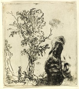 Feuille avec deux études : Un arbre, et la partie supérieure de la tête de l