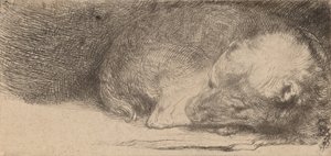 Chiot endormi, vers 1640