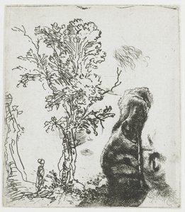 Esquisse représentant un arbre et la partie supérieure de la tête de Rembrandt coiffée d