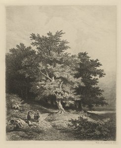 Figures près d