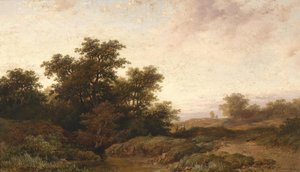 Paysage ouvert dans la lumière du soir