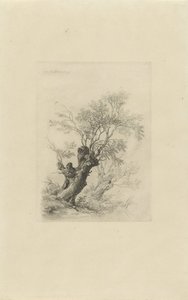 Saule - Remigius Adrianus Haanen