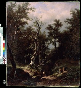 Paysage de forêt - Remigius van Haanen