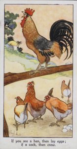 Proverbe oriental : Si tu es une poule, alors ponds des œufs ; si tu es un coq, alors chante - René Bull