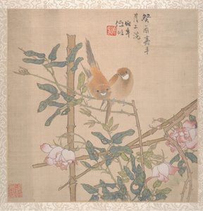 Deux oiseaux perchés sur un rosier en fleurs, fin du 19ème siècle - Ren Yi