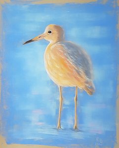 Jacana
