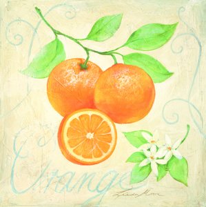 Oranges fraîches et fleurs d