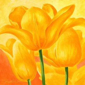 Tulipes jaunes ensoleillées - Renate Holzner
