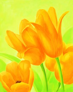 Des tulipes orange vif - Renate Holzner