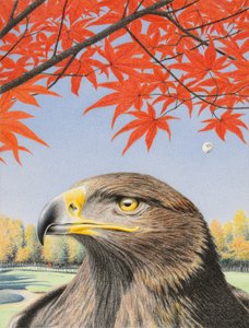 Aigle