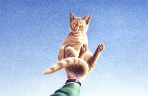 Plein les mains - Rene Boin