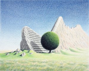 Roche - Rene Boin