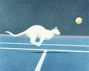 Tennis
