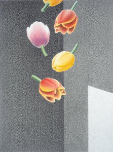 Tulipes