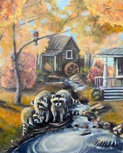 Des ratons laveurs à Autumn Stream