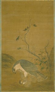 Faucon Capturant Un Moineau - Renfa Ren