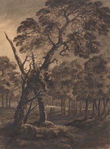 Scène de forêt - Rev. William Gilpin