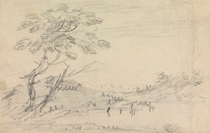 Paysage